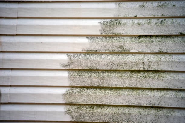 Best Siding Replacement  in Schriever, LA