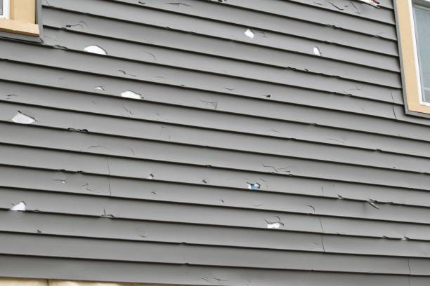 Best Insulated Siding Installation  in Schriever, LA